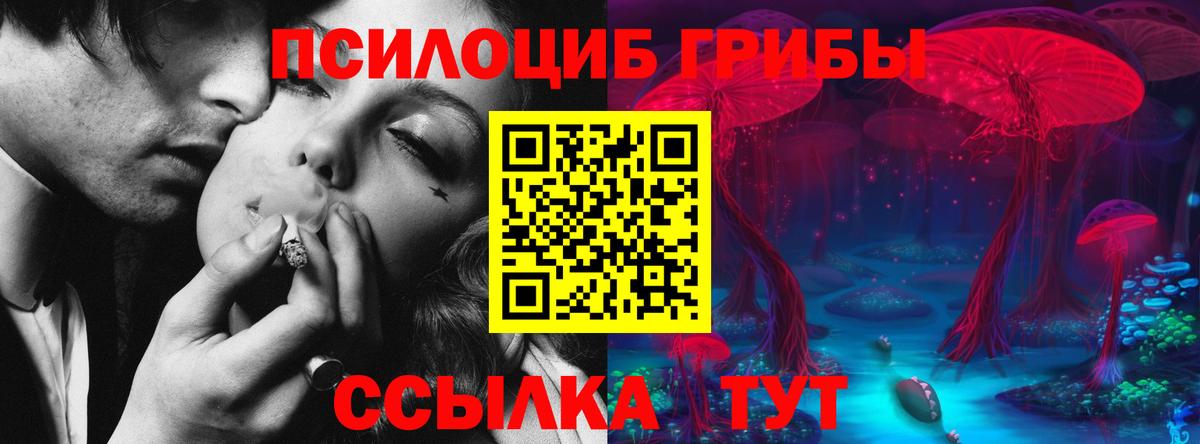 Зерноград  Галлюциногенные грибы MAGIC MUSHROOMS  Вход с VPN 